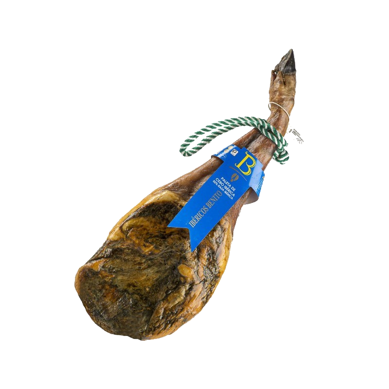 PALETA ESENCIA "CEBO" FN